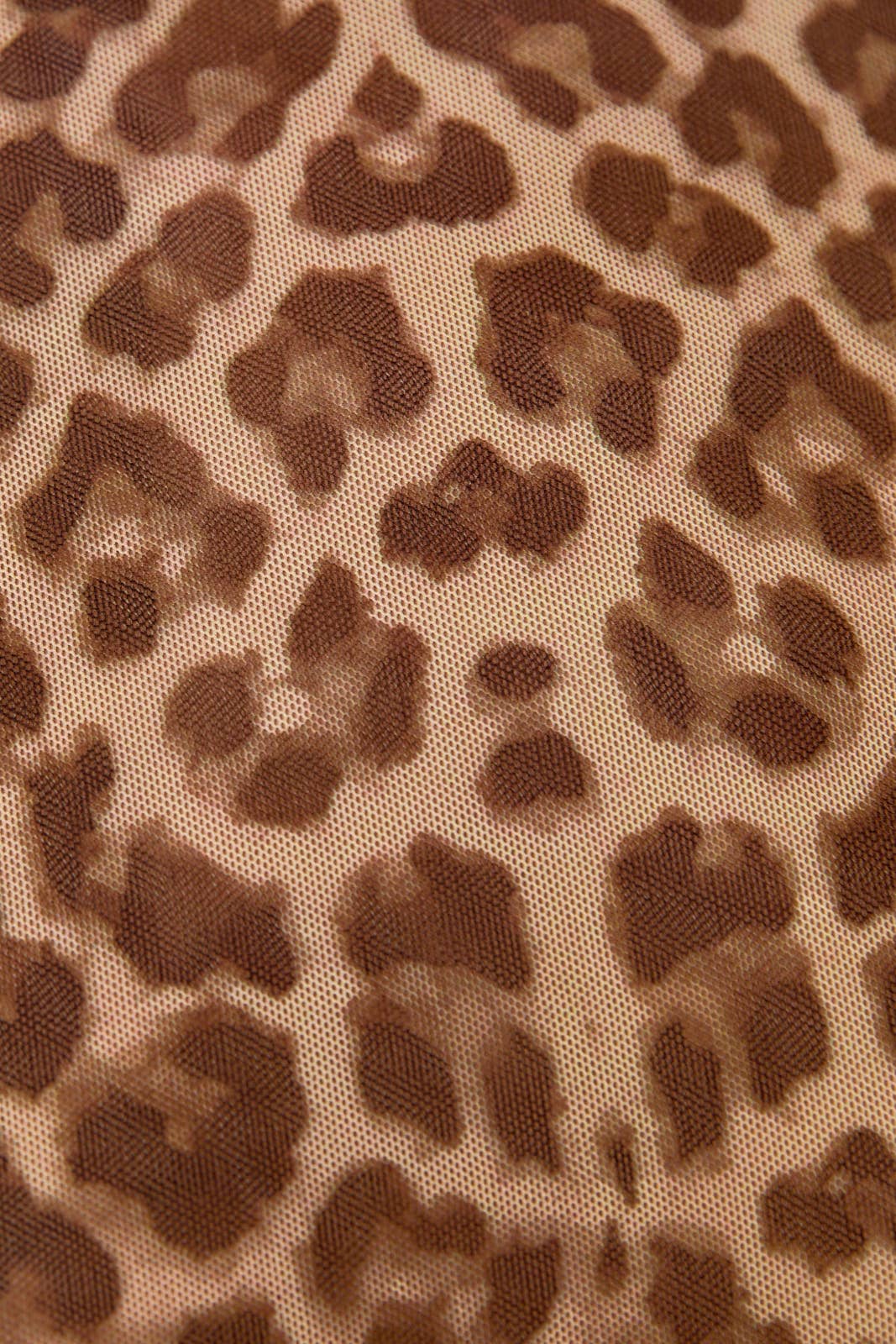 Mock Neck Long Sleeve Mesh Top